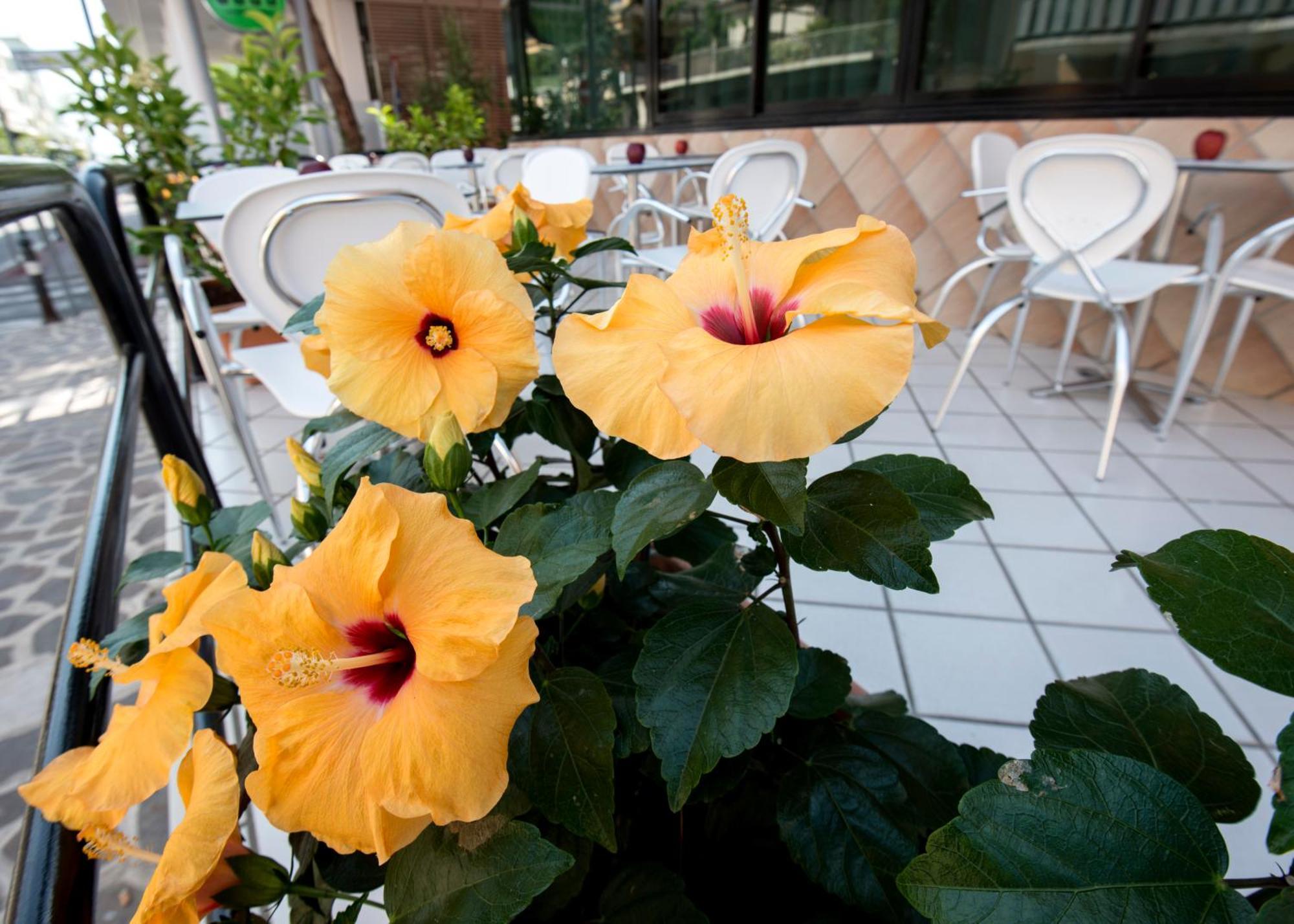 Hotel Scarlet Rimini Extérieur photo
